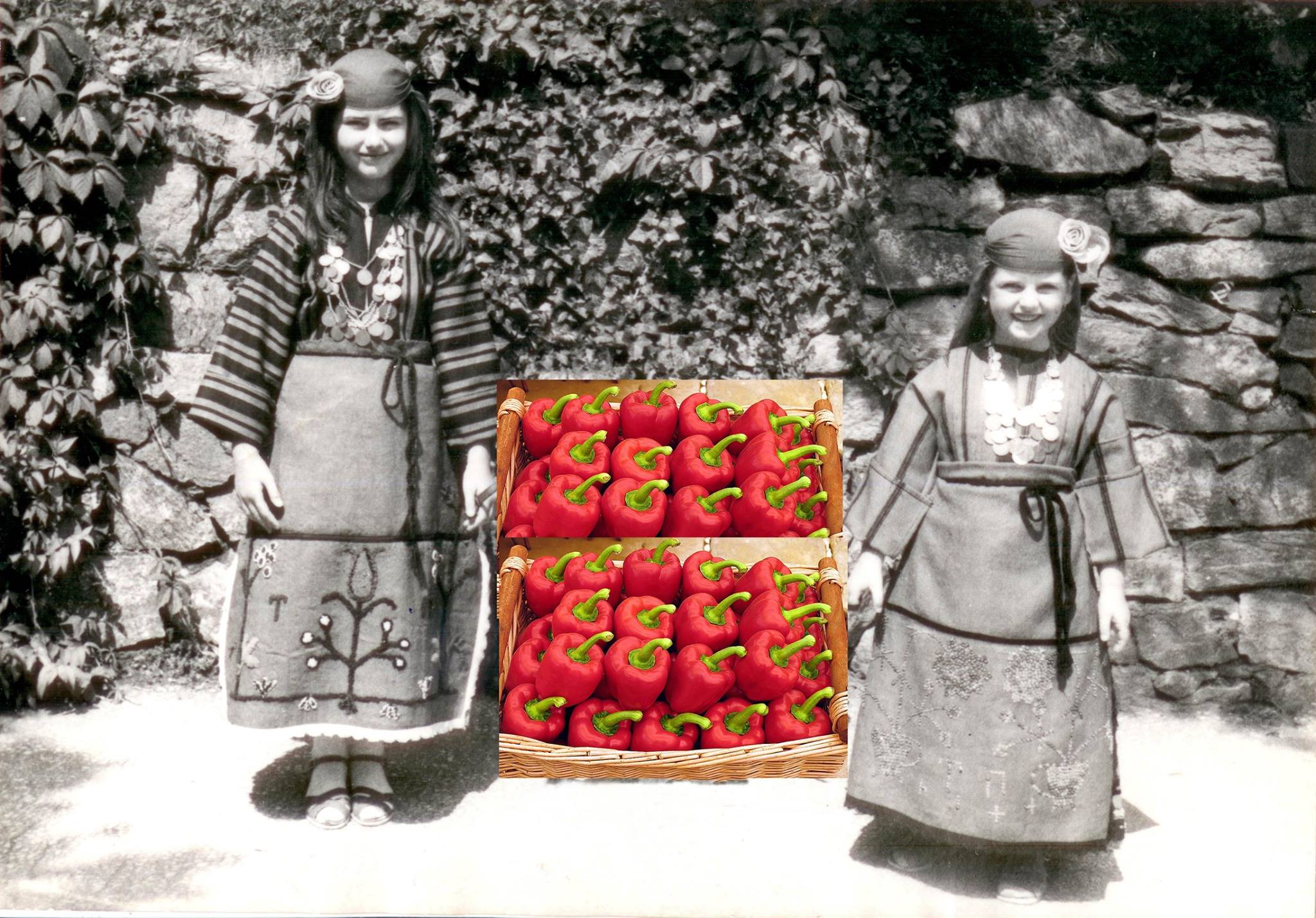 klaoe - Bulgarian vegan workshop