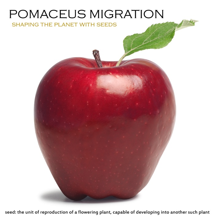 gnamo - Pomaceus Migration