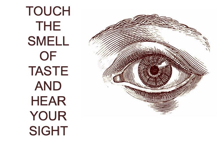 gnamo - Touch the smell of taste and hear your sight